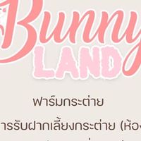 BunnyLand241