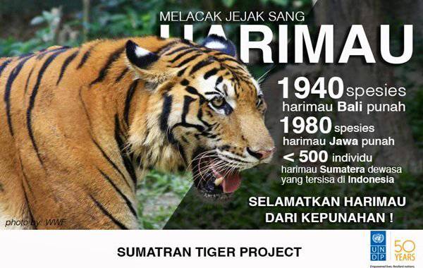 Unduh 6700 Gambar Harimau Bali  Gratis