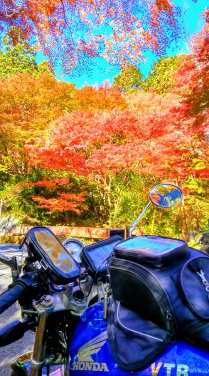 関東のんびり中型バイクツーリング🏍️雑談✨