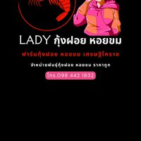 LADY กุ้งฝอย หอยขม