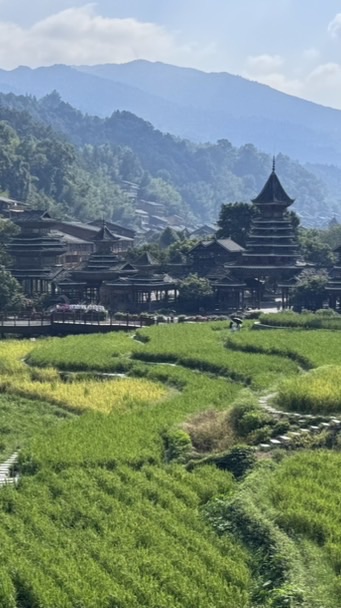 肜遊時光