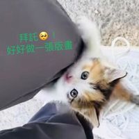 版畫創作 分享討論交流