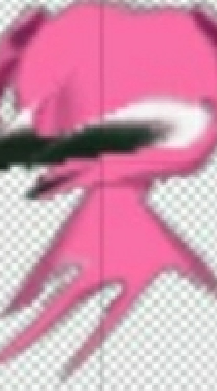 プロゼミ 魔王もももん王国