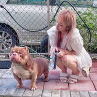 紜紜子の精緻養狗日常生活