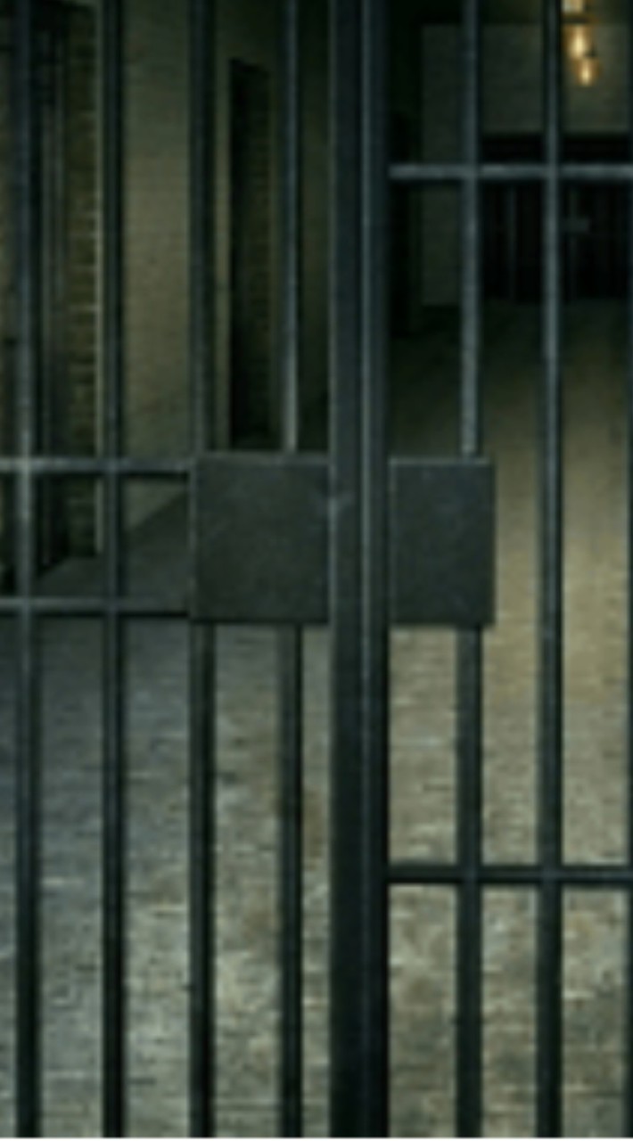 刑務所 パロ STPR × VOISING