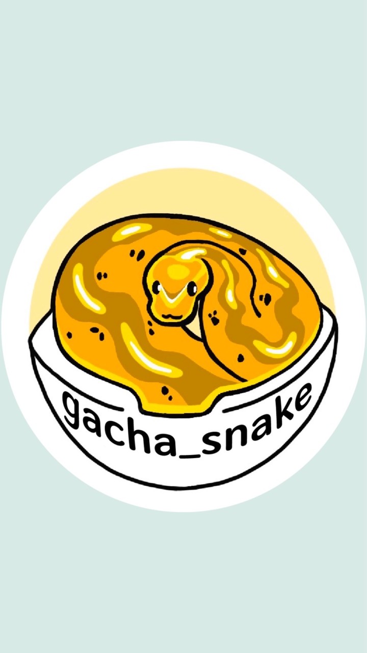 扭蛋球Gacha Snake | 球蟒守宮競標、爬蟲交流