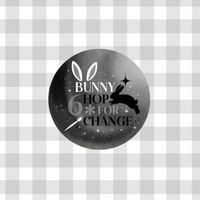 🏫Bunny Hop For Change🐰🥕