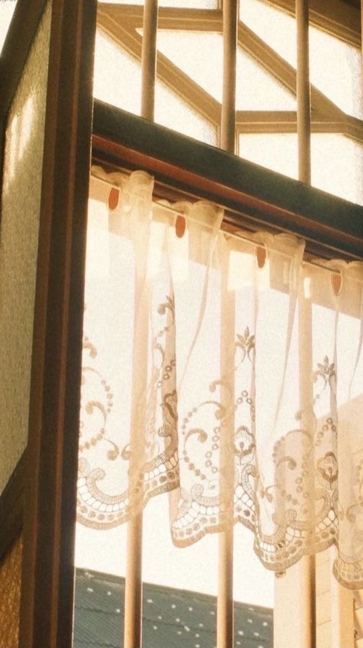 🦚 .  ͜เวียงพิงค์ประดับขัตติยากัลยาณี  ࣪ᝰ ָ࣪ ۰