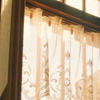 🦚 .  ͜เวียงพิงค์ประดับขัตติยากัลยาณี  ࣪ᝰ ָ࣪ ۰