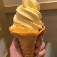 50+J閃耀