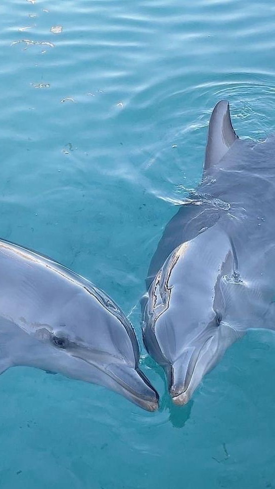 คุยเล่น วัยทำงาน เพื่อนคุยเพื่อนคิด เมาท์มอย