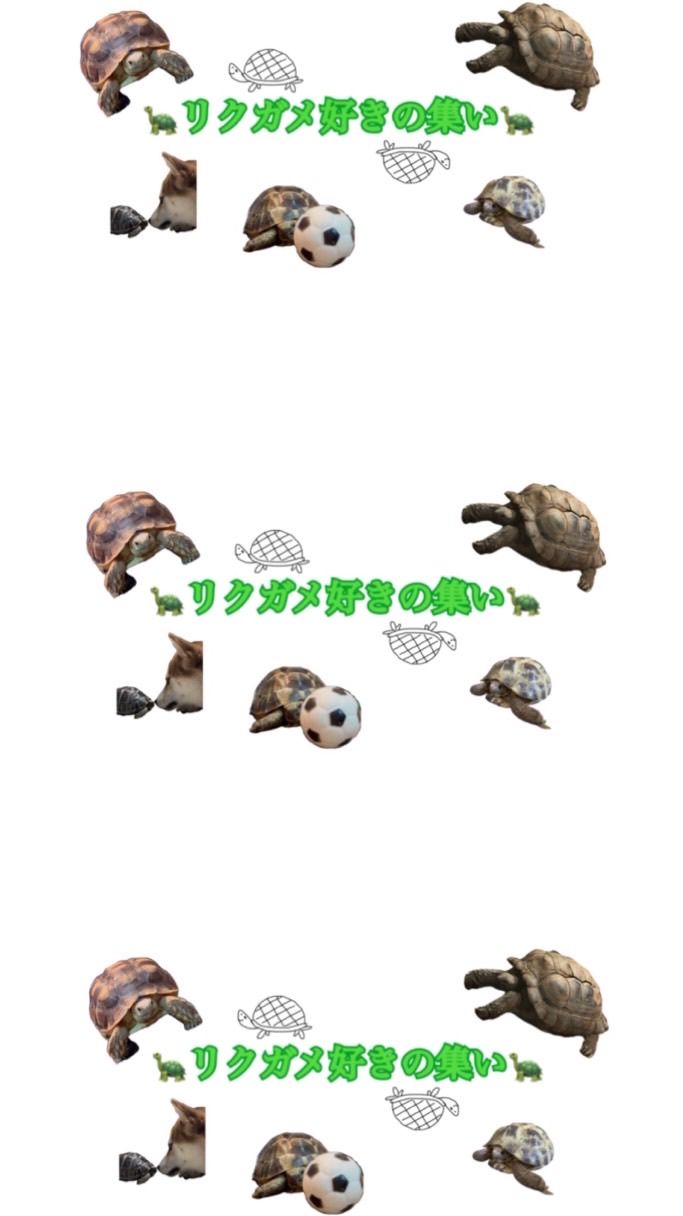 リクガメ好きの会【リクカフェ☕️🐢】