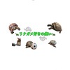 リクガメ好きの会【リクカフェ☕️🐢】