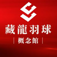 藏龍羽球概念館