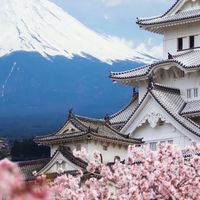 ✈️✈️厚片媽媽海外代購群-首爾11/2-11/6