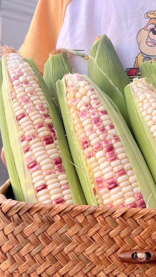陳家小農舖🌽