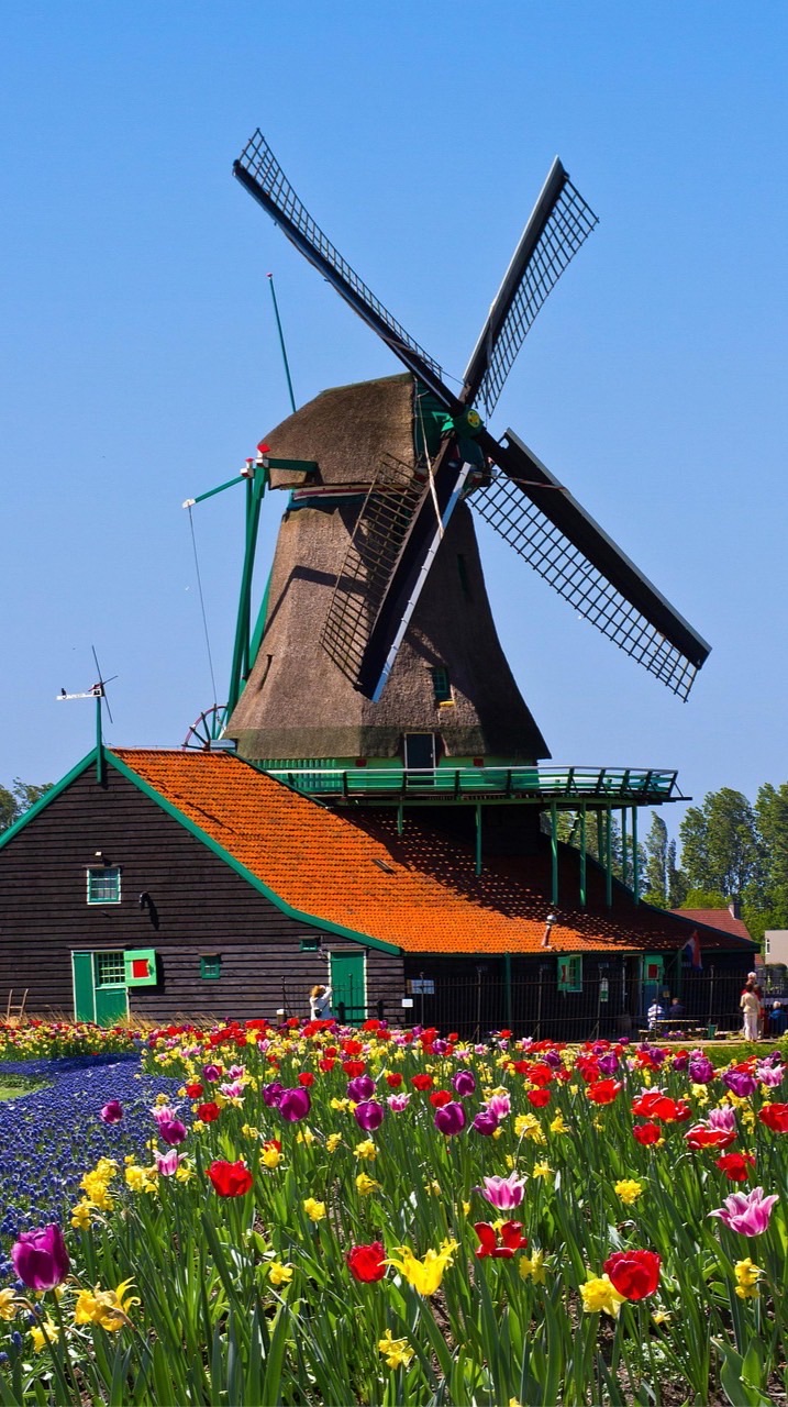 オランダ留学🇳🇱情報交換会