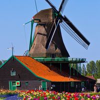 オランダ留学🇳🇱情報交換会