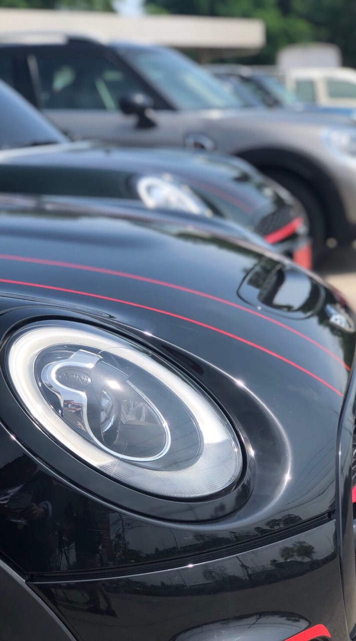 New Mini Society