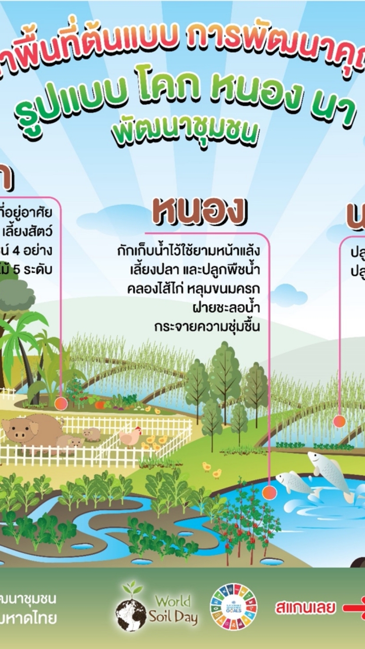เครือข่าย โคก หนอง นา ระนอง