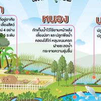 เครือข่าย โคก หนอง นา ระนอง