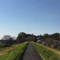 スポーツ自転車愛好会
