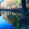 実際訪問したユーザーが直接撮影して投稿した谷内湖沼 / 池竜ヶ窪の池の写真