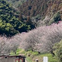 北九州発 バイクでのんびりツーリング