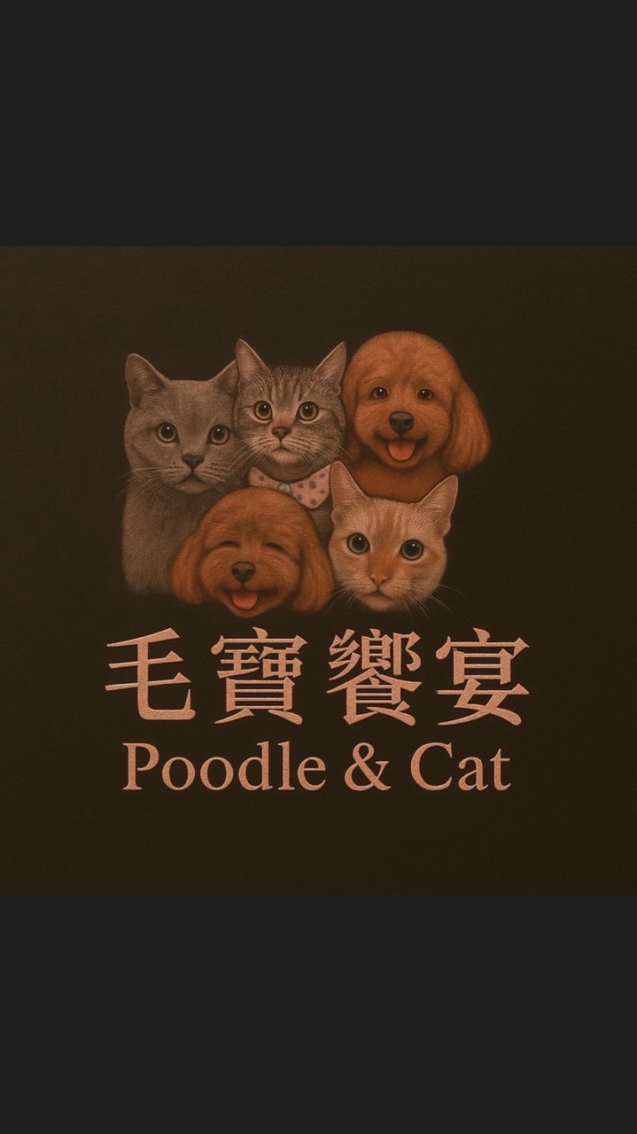 毛毛的❤️
