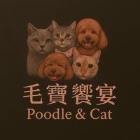毛毛的❤️