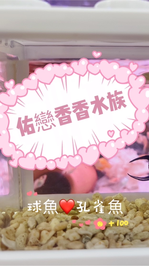 佑戀香香水族