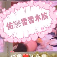 佑戀香香水族