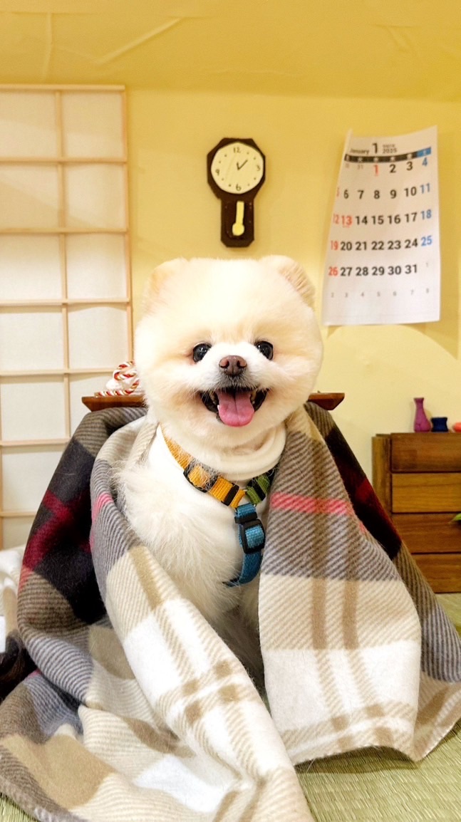 專心開心同學會