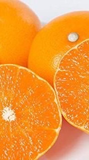 愛媛婚活・恋活・友活🍊