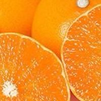 愛媛婚活・恋活・友活🍊