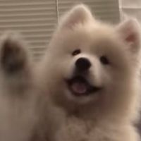 113時尚系新生討論群