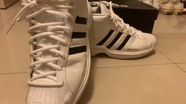 網友 Yang-Hao Hsu 鞋評 / adidas Pro Model 2G