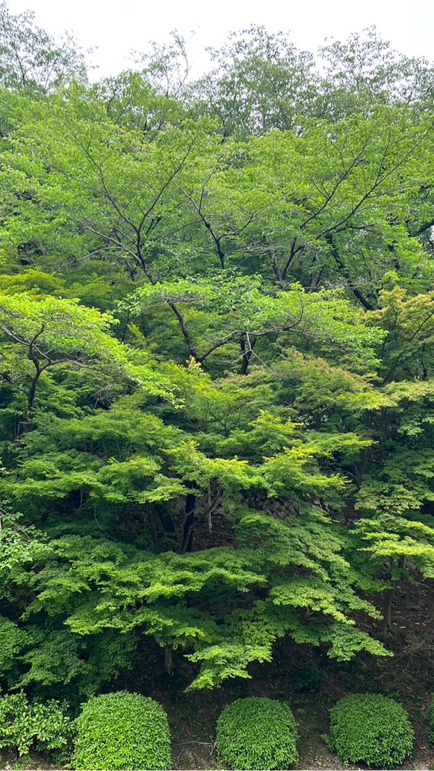 一撃