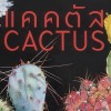Cactus/กระบองเพชร