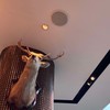 看護師オープンチャット　ゲルナース