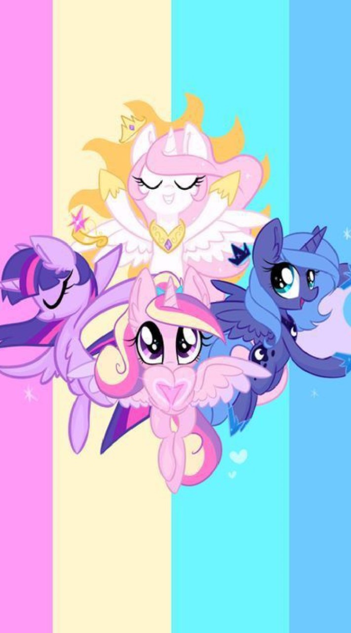 โพนี่วิวส์ Pony✨🎉