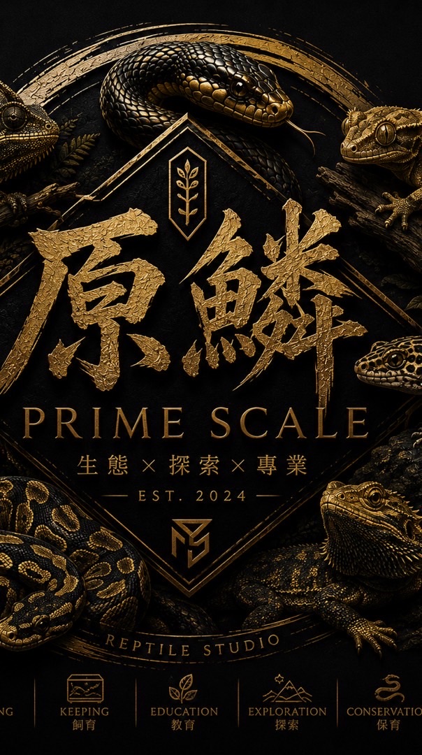 原鱗 PRIME SCALE