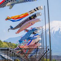 40代50代から楽しもう✨