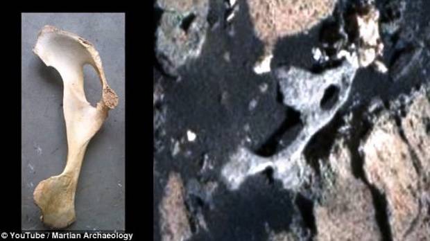  Pemburu UFO Temukan Fosil Tulang Alien di Mars? 