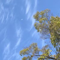 算命学占い★実践に活かせる学びをアウトプットしていきましょう🌟