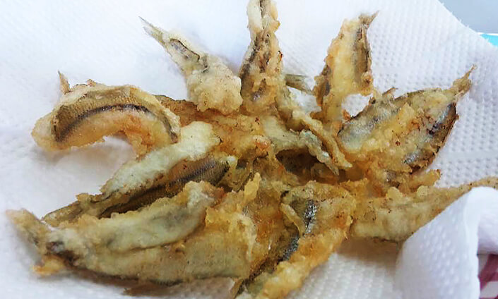 西太公魚