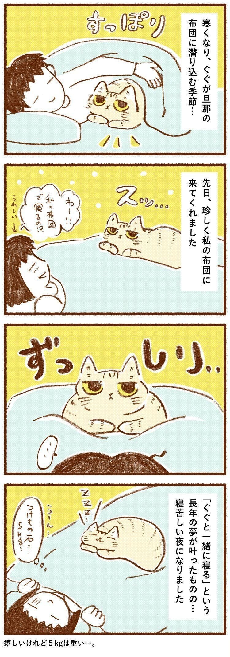 長年の夢 愛猫と一緒に寝る が叶ったものの