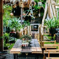 CAFE สัตว์เลื้อยคลาน