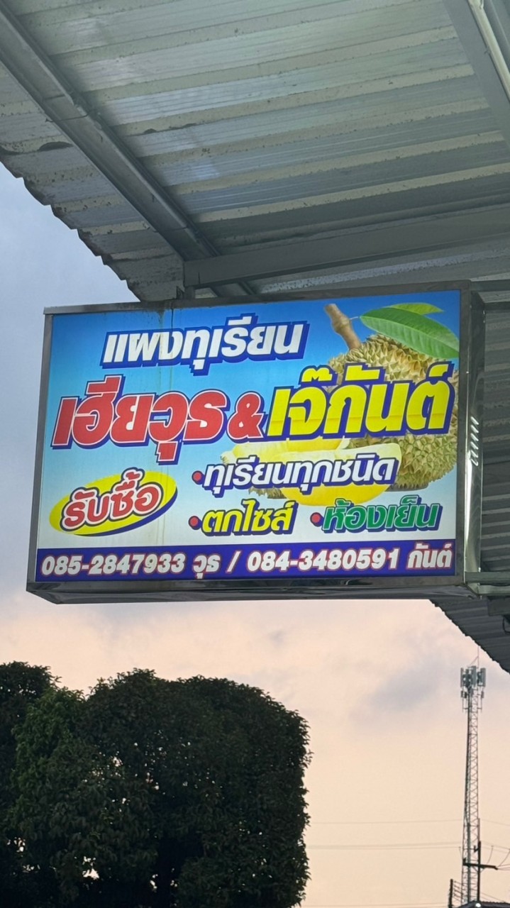 แผงทุเรียนเฮียวุธ-เจ๊กันต์
