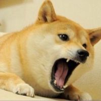單身狗俱樂部
